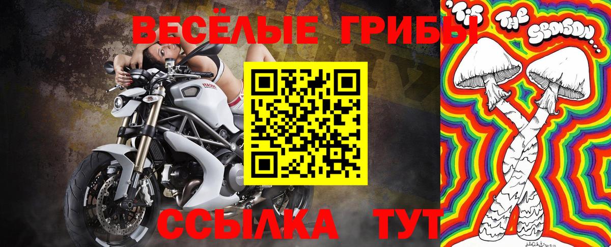 Галлюциногенные грибы GOLDEN TEACHER  Вход с VPN  Галлюциногенные грибы Psilocybe  Ишим 