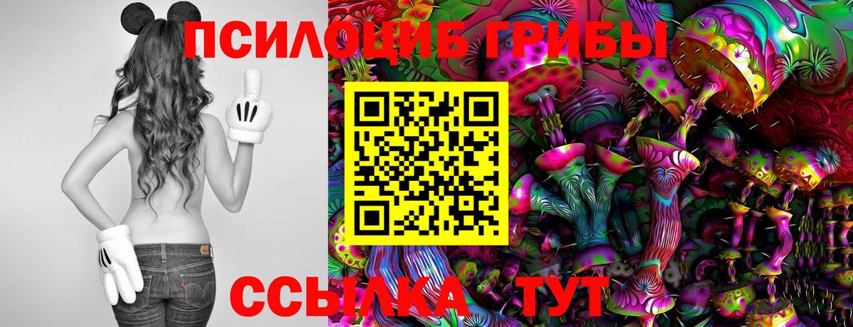 Псилоцибиновые грибы Cubensis Ишим